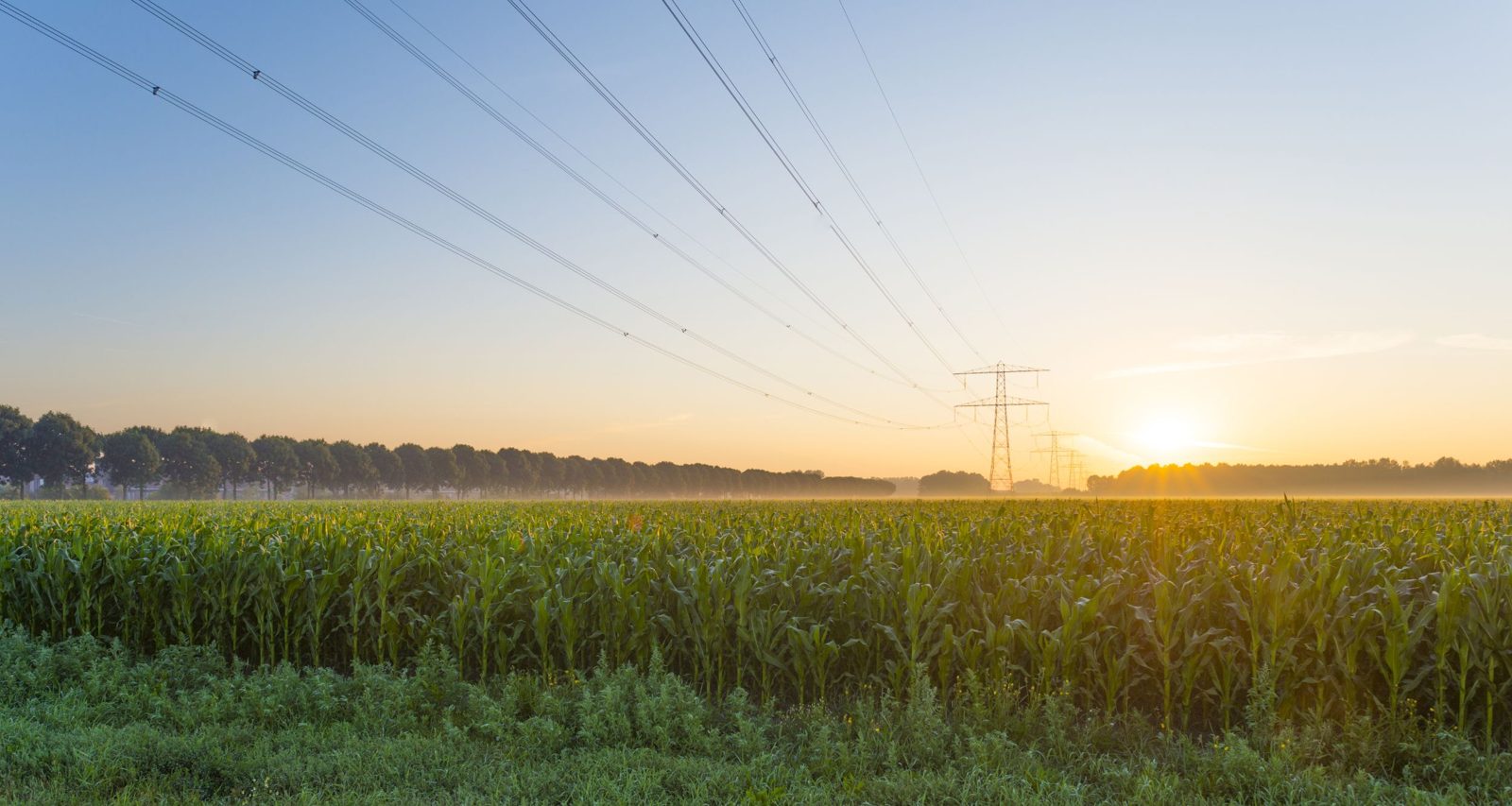 Power transmission lines over farmland at sunrise